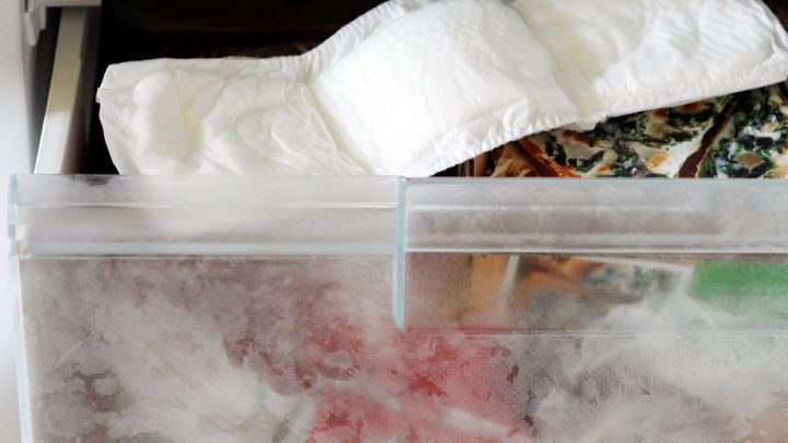 Gefrorene Binden liegen in einer durchsichtigen Schublade eines Gefrierschranks, um f&uuml;r die postpartale Pflege bereit zu sein.