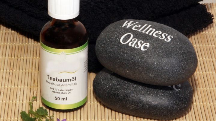 Ein Fl&auml;schchen Teebaum&ouml;l steht neben zwei Steinen mit der Beschriftung &bdquo;Wellness Oase&ldquo; auf einem Bambusuntergrund.