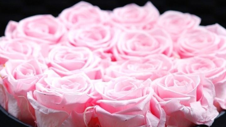 Zarte, pinke Rosen sind in einem schwarzen Beh&auml;lter arrangiert und wirken frisch und lebendig, umrahmt von einem eleganten Hintergrund.