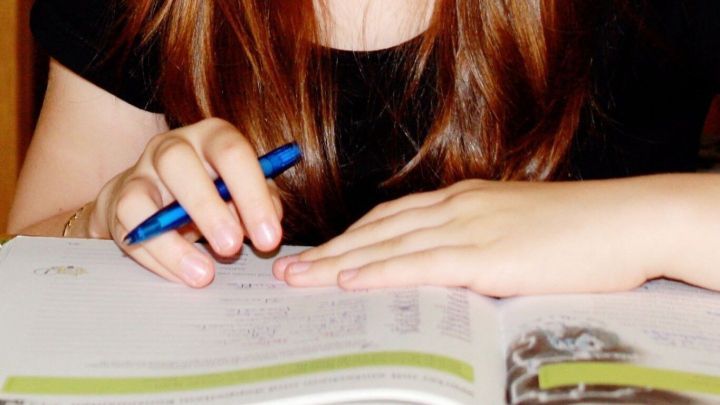 Eine Person mit langen, braunen Haaren schreibt in ein offenes Buch und macht dabei Hausaufgaben in einem gem&uuml;tlichen Raum.