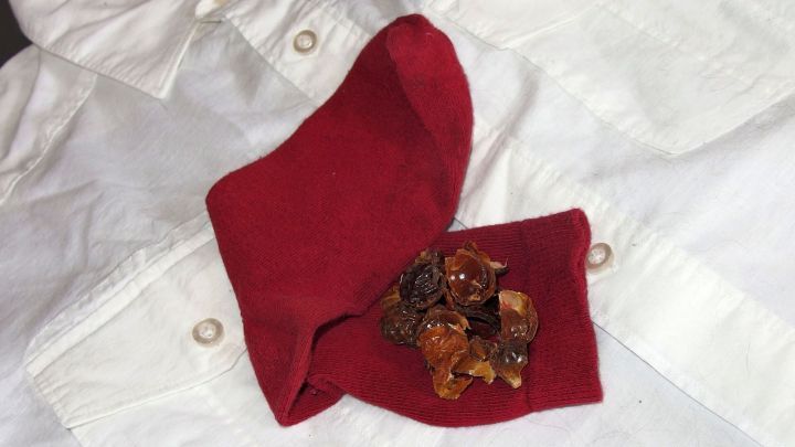 Eine rote Stoffserviette h&auml;lt eine Mischung aus Waschn&uuml;ssen, die auf einem wei&szlig;en Hemd liegen, um schwere Verschmutzungen zu bek&auml;mpfen.