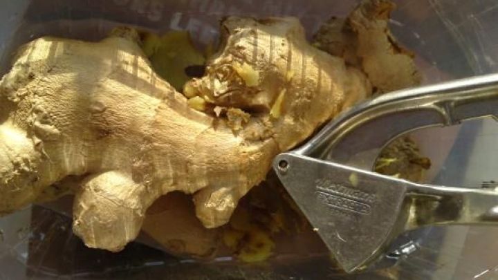 Eine Ingwerwurzel wird mit einem Metallreibe im Sonnenlicht in einer Plastikkiste gerieben.