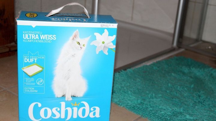 Eine Katzenstreu-Verpackung steht auf dem gefliesten Badezimmerboden neben einem blauen Badeteppich, um Rutschgefahr im Bad zu vermeiden.