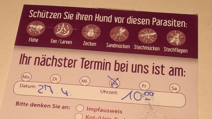 Eine Terminkarte zeigt den n&auml;chsten Termin f&uuml;r einen Hundebesuch an, das Datum ist der 27.4. um 10:00 Uhr.