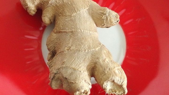 Ein St&uuml;ck Ingwer liegt auf einem wei&szlig;en Teller in der Mitte eines roten Tellers, umgeben von einer hellen Umgebung.