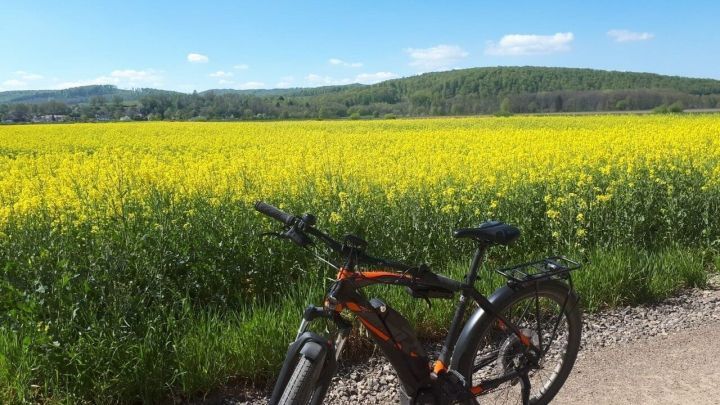 Ein stark verschmutztes Fahrrad steht auf einem Weg neben einem leuchtend gelben Rapsfeld unter blauem Himmel.