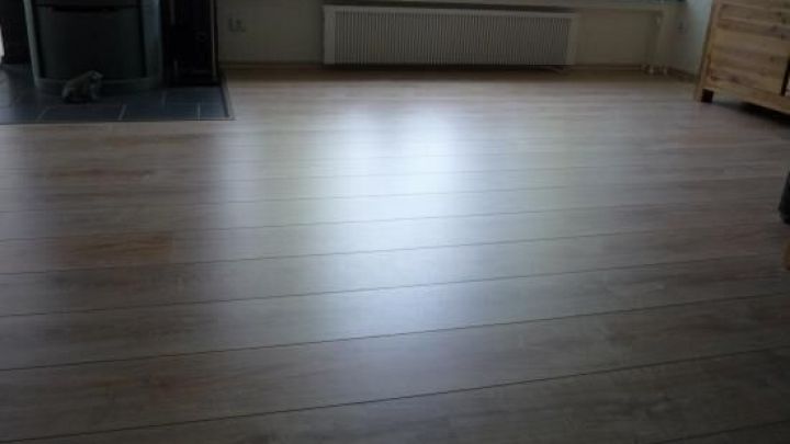 Ein sauberer Laminatboden reflektiert das Licht, ohne Streifen, in einem gem&uuml;tlichen Raum mit Fenster und Pflanzen.