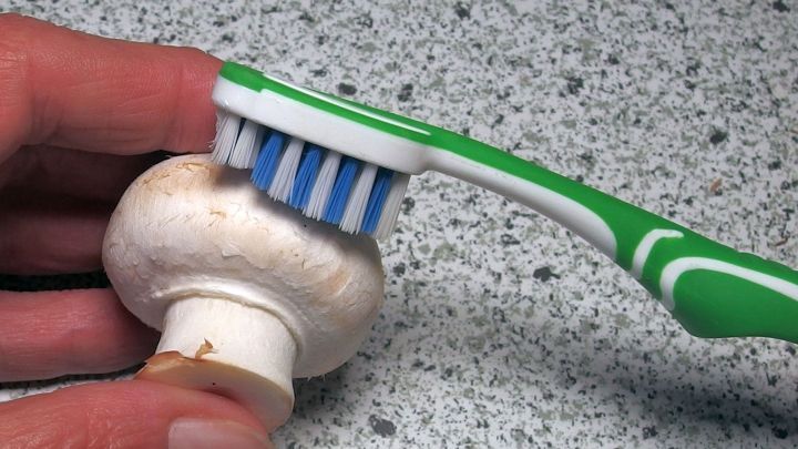 Eine Hand h&auml;lt eine Zahnb&uuml;rste, die einen wei&szlig;en Champignon schrubbt, auf einer strukturierten Arbeitsfl&auml;che.