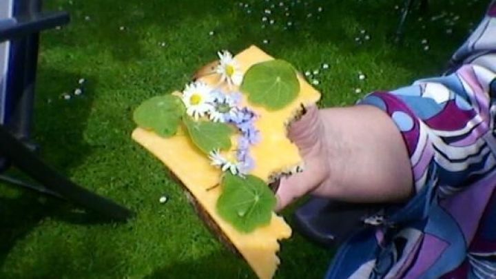 Ein Butterbrot mit Kapuzinerkresse und bunten Bl&uuml;ten wird in einer Hand gehalten, umgeben von gr&uuml;nem Gras.