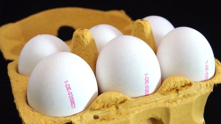 Eine Reihe wei&szlig;er Eier liegt in einem gelben Karton. Der Fokus liegt auf den Eiern, die keine Anzeichen von Besch&auml;digungen zeigen.