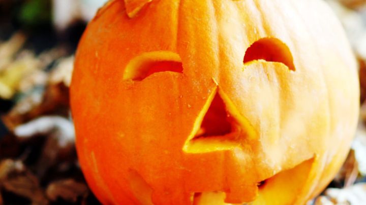 Ein leuchtend oranger K&uuml;rbis mit einem fr&ouml;hlichen Gesicht steht umgeben von buntem Laub auf dem Boden.