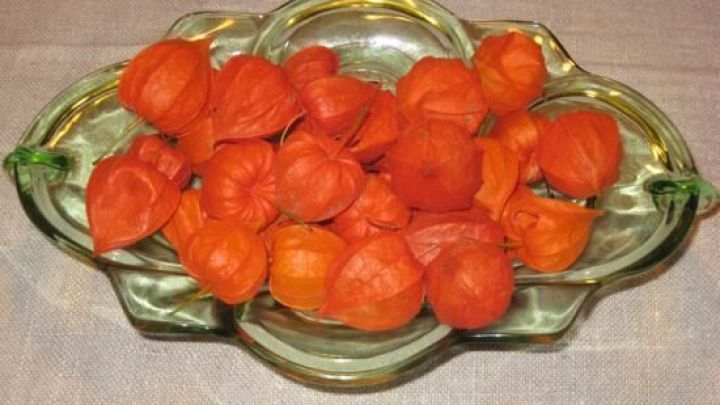 Eine Schale mit orangeroten Lampionblumen dekoriert einen Tisch, umgeben von einem sanften, neutralen Hintergrund.