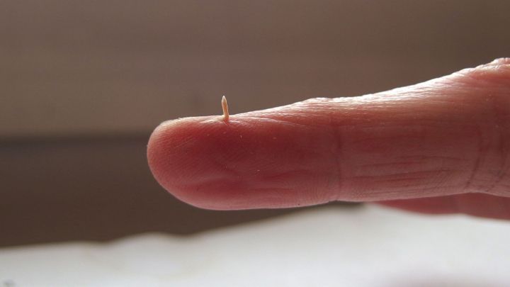 Ein Finger zeigt auf einen kleinen Holzsplitter, der darauf balanciert, w&auml;hrend ein neutraler Hintergrund sichtbar ist.