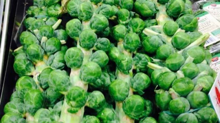 Rosenkohl, noch an den Stielen, liegt geb&uuml;ndelt in einer Supermarkttheke. Verpackte Produkte sind daneben sichtbar.