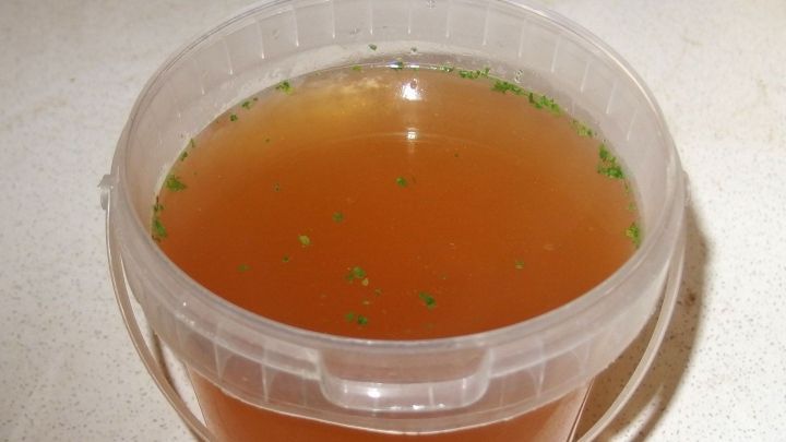 Ein durchsichtiger Einwegbecher enth&auml;lt eine br&auml;unliche Fl&uuml;ssigkeit mit Kr&auml;utern, auf einer hellen Oberfl&auml;che platziert.