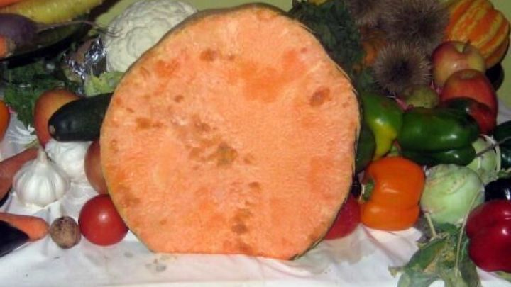 Dicker, orangefarbener K&uuml;rbis steht in der Mitte, umgeben von frischem Gem&uuml;se auf einem Tisch, ideal f&uuml;r K&uuml;rbis-Pommes.