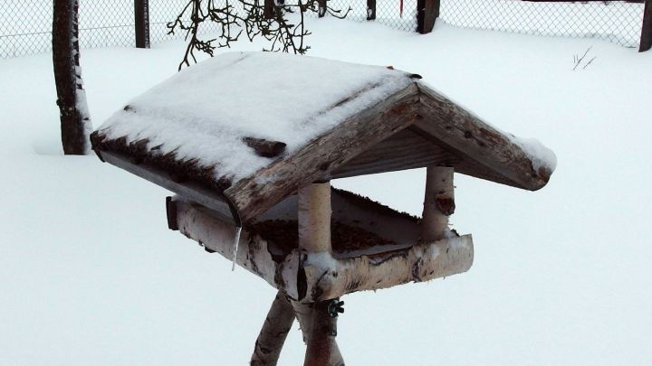Ein Vogelhaus steht im Schnee, w&auml;hrend Schneeflocken sanft auf dem Dach liegen, um Alten Menschen Freude zu bereiten.