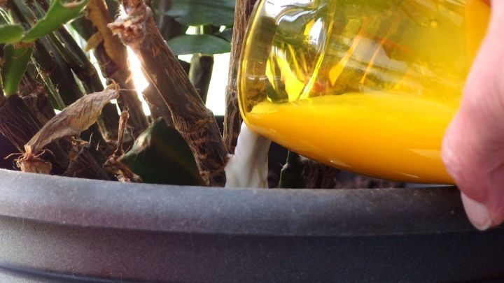 Ein gelbes Gie&szlig;gef&auml;&szlig; wird &uuml;ber eine Zimmerpflanze gekippt, um sie zu d&uuml;ngen und zu st&auml;rken. Der Topf hat eine graue Farbe.