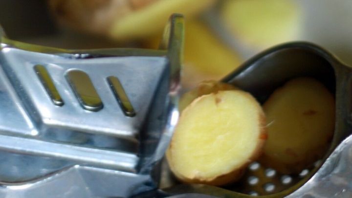 Ein St&uuml;ck Ingwer liegt neben einer Knoblauchpresse, die zerkleinerten Ingwer in der Schale fasst, auf einem grauen Untergrund.
