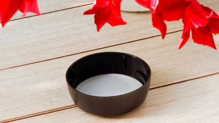 Ein schwarzer Untersetzer steht auf einem Holztisch, umgeben von roten Bl&auml;tter einer Zimmerpflanze, um nassen F&uuml;&szlig;en vorzubeugen.