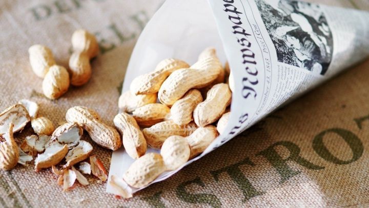 Erdn&uuml;sse liegen in einer Papierkonusverpackung auf einem Tisch, ideal f&uuml;r das Anheizen des Ofens.