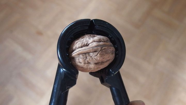 Ein Nussknacker h&auml;lt eine Walnuss, w&auml;hrend er sie quer knackt. Der Hintergrund zeigt einen hellen Holzboden.