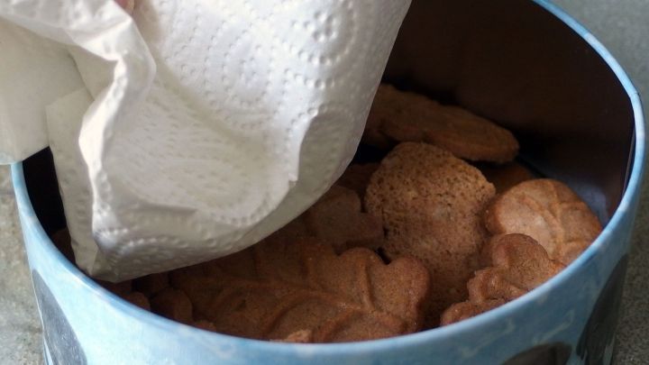 Kekse liegen in einer Dose, w&auml;hrend K&uuml;chenpapier dar&uuml;bergelegt wird, um das Zerbr&ouml;seln unterwegs zu vermeiden.