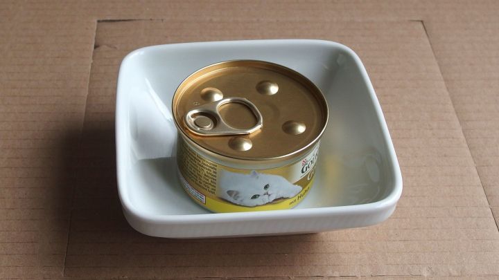 Eine Katzensch&uuml;ssel mit einer ge&ouml;ffneten Dose Katzenfutter steht auf einer matten Unterlage aus Pappe.