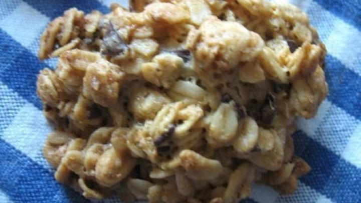 Ein Haferflocken-Pl&auml;tzchen liegt auf einem blauen karierten Tuch, frisch gebacken und genussbereit.