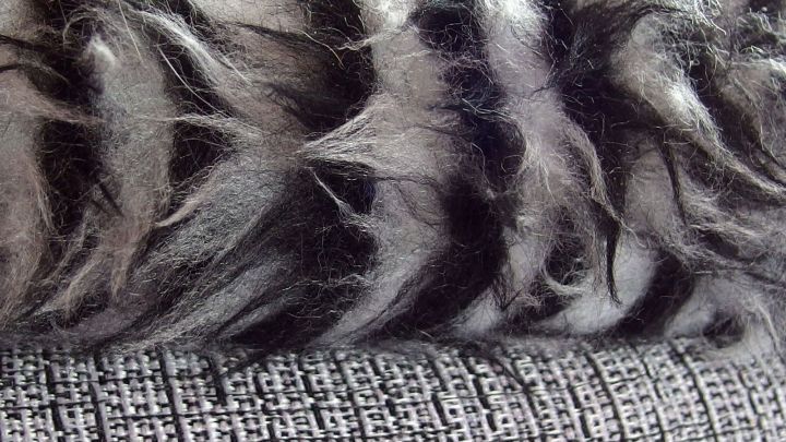 Ein dichtes, weich gestochenes Fell liegt auf einem grauen, strukturierten Stoff, der ihm einen eleganten Kontrast bietet.