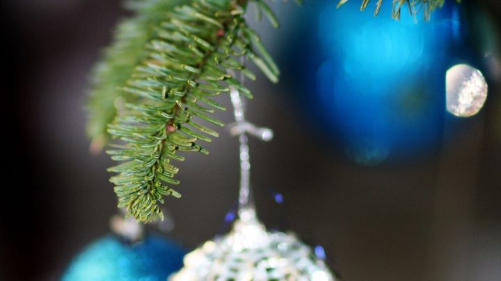 Bunte Weihnachtskugeln h&auml;ngen an einem gr&uuml;nen Tannenbaumzweig und sind mit einer getrockneten Fruchtscheibe dekoriert.