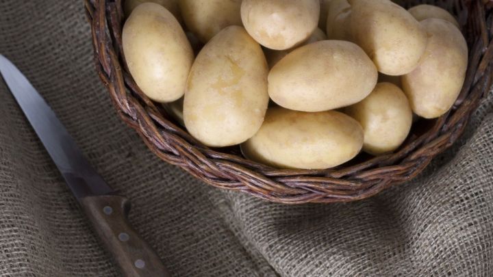 Eine Korb mit frischen Farmer-Kartoffeln liegt auf einem rustikalen Tuch neben einem Messer.