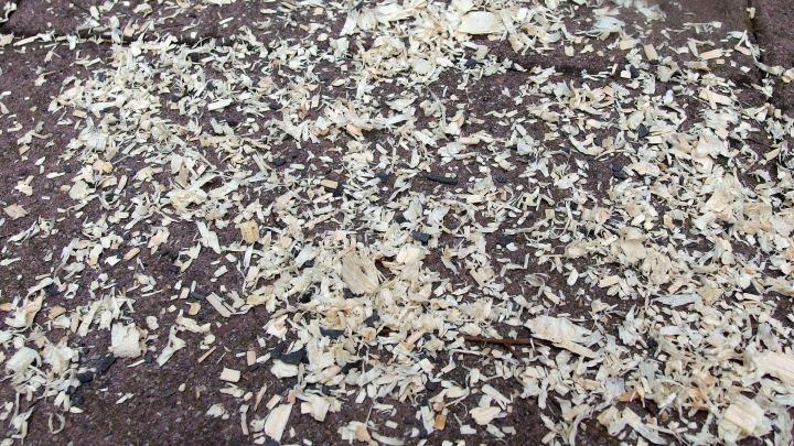Kleintierstreu aus Holzsp&auml;nen ist gleichm&auml;&szlig;ig auf einem dunklen Boden verteilt, ideal f&uuml;r Winterunterk&uuml;nfte von Kleintieren.