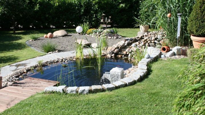 Ein Gartenteich mit Steineinfassung und Schilfpflanzen liegt in einem gepflegten Garten mit Rasen und Kiesweg.