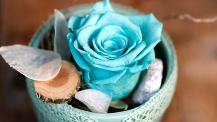 Eine t&uuml;rkisfarbene Rose in einem dekorativen Topf wird von Steinen und Trockenbl&auml;ttern umgeben und mit einer Schleife verziert.