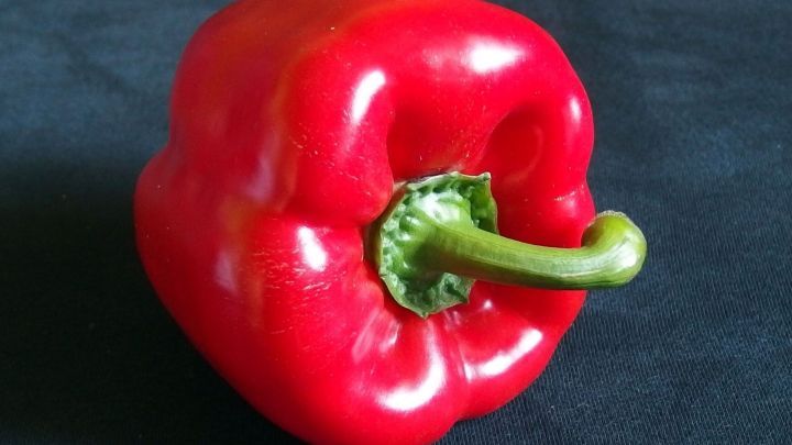 Eine rote Paprika liegt auf einem schwarzen Untergrund und zeigt ihre gesunde, gl&auml;nzende Oberfl&auml;che, die f&uuml;r den Blutkreislauf vorteilhaft ist.