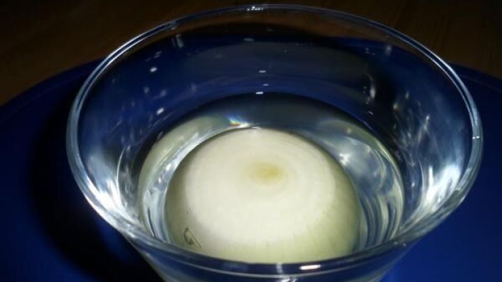 Eine in Wasser eingelegte, rohe Zwiebel in einem Glas auf einem blauen Teller; die Szene ist in einem dunklen Raum aufgenommen.