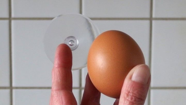 Ein Hand h&auml;lt einen Saugnapf neben einem Ei, das stabilisiert wird, vor einer gefliesten Wand.