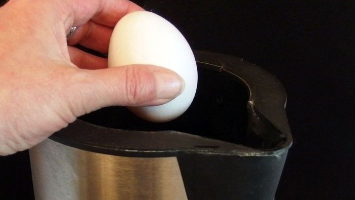 Eine Hand legt ein wei&szlig;es Ei in einen elektrischen Eierkocher, der in einer modernen K&uuml;che platziert ist.