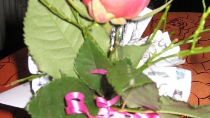 Eine rosa Rose steht in einer Vase, umgeben von gr&uuml;nem Blattwerk und pinkem Band, als stilvolles Geldgeschenk arrangiert.
