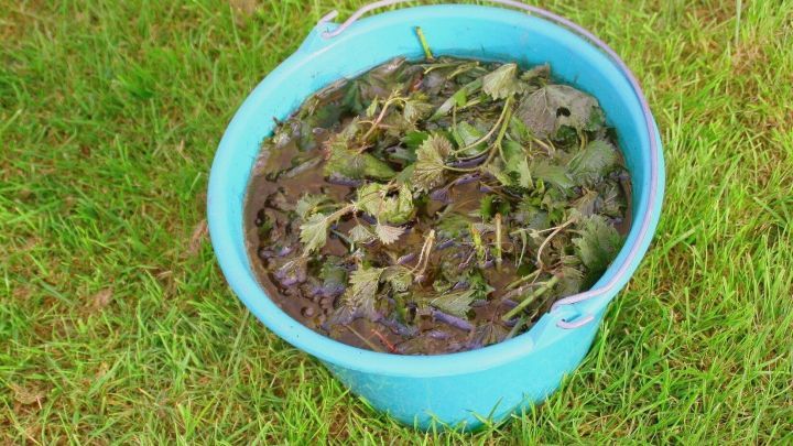 Ein blauer Eimer voller Brennnesseljauche steht auf gr&uuml;nem Gras und zeigt die nat&uuml;rliche D&uuml;ngemischung bei Sonnenschein.