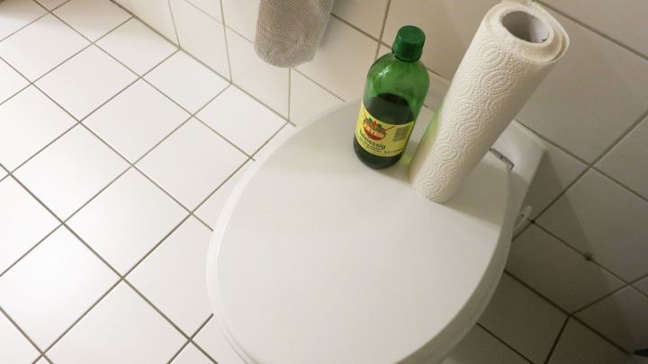 Flasche mit Haushaltsessig und K&uuml;chenrolle stehen auf einem WC-Deckel in einem gefliesten Badezimmer.