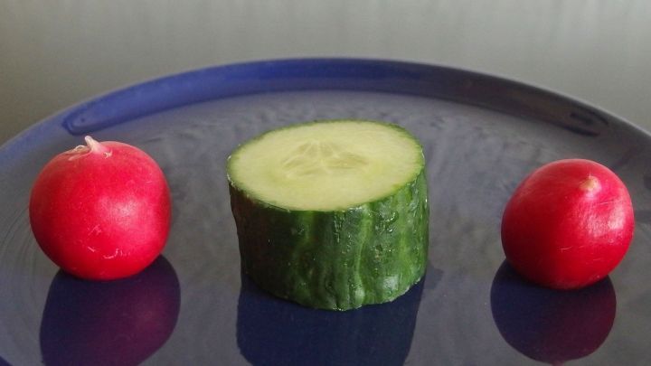Eine gr&uuml;ne Gurke und zwei rote Radieschen liegen frisch auf einem blauen Teller, ideal f&uuml;r Kinder zum Knabbern.