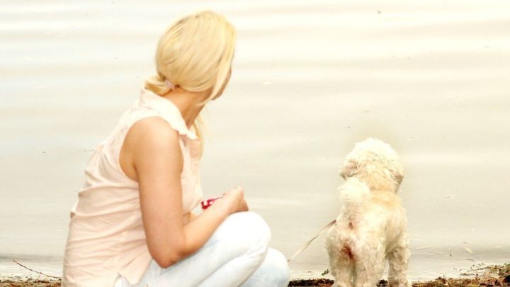 Eine Frau sitzt am Ufer und beobachtet, wie ihr Hund im Wasser spielt, umgeben von ruhiger Natur.