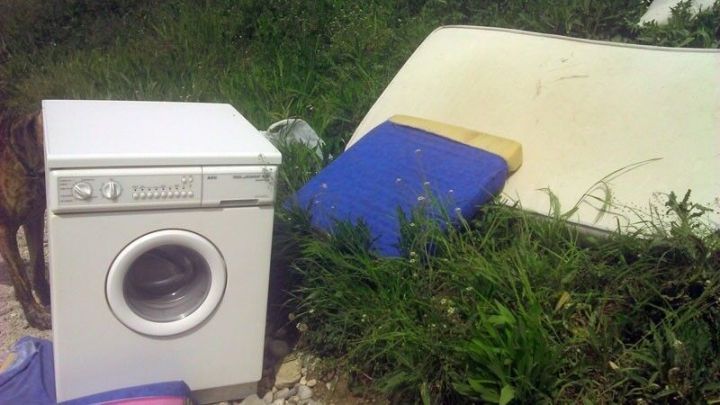 Eine Waschmaschine steht neben einer alten Matratze und einem Bettgestell in hohem Gras, das wertvolle Sperrm&uuml;ll ergibt.