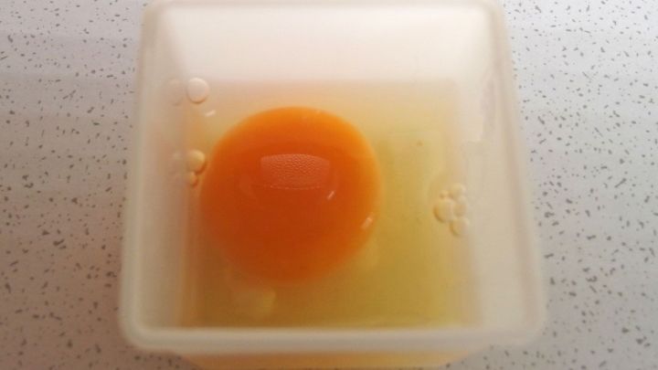 Ein rohes Ei liegt in einem transparenten Beh&auml;lter, bereit zum Einfrieren auf einer hellen Arbeitsfl&auml;che.