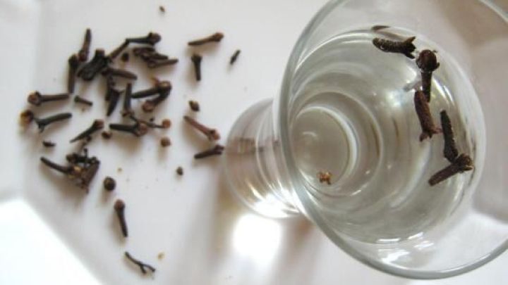 Ein Glas mit Wasser enth&auml;lt Gew&uuml;rznelken, die auf einer wei&szlig;en Unterlage verstreut liegen, um den Nelkentest durchzuf&uuml;hren.
