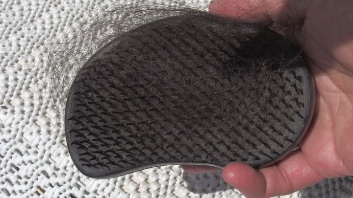 Eine Hand h&auml;lt eine Haarb&uuml;rste, auf der sich mehrere Haare befinden. Die Umgebung wirkt hell und texturiert.