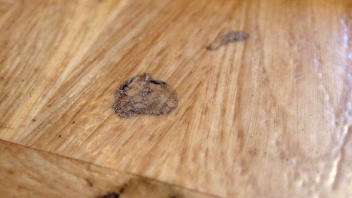 Klebrige Flecken auf einem PVC-Belag sind sichtbar, w&auml;hrend eine Reinigung mit Speise&ouml;l vorbereitet wird.