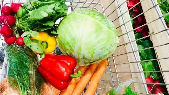 Ein Einkaufskorb ist gef&uuml;llt mit frischem Gem&uuml;se wie Salat, Paprika, Radieschen und Karotten in einem Supermarkt.